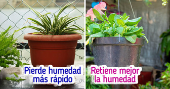 La maceta que tienes en casa puede ser el inicio de tu huerto (te decimos cómo)