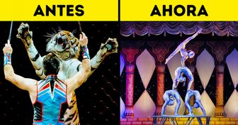 10 Países que prohibieron el circo con animales, demostrando que existen otros espectáculos dignos