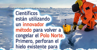 Científicos desarrollaron un método innovador para fabricar hielo y volver a congelar el Polo Norte