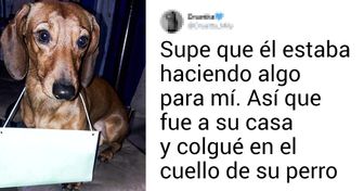 19 Usuarios de la red contaron cómo les pidieron a sus parejas que iniciaran un noviazgo