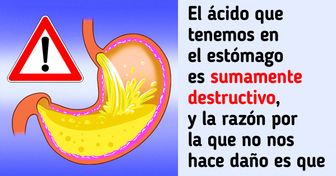 12 Datos sobre el sistema digestivo que pueden hacer que nos demos cuenta que sabemos poco y nada de nuestro cuerpo