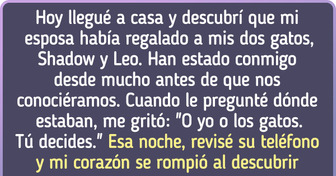 “Ella se deshizo de mis gatos sin decirme nada, pero lo que hizo después destruyó mi mundo”