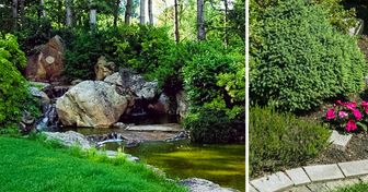 20 Ideas para decorar tu jardín con piedras y mejorar su aspecto
