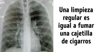 8 Buenas razones para rechazar la limpieza frecuente de la casa (especialmente con la aspiradora)