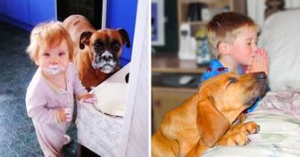20 Fotos irresistibles que demuestran que los niños y las mascotas son la felicidad de cualquier hogar