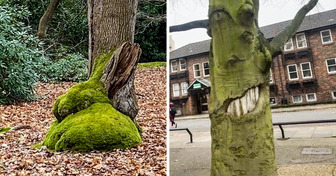 19 Fotos que te harán mirar dos veces y aun así no entenderás qué está pasando