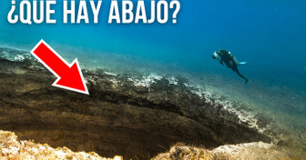 ¿Podrías sobrevivir en el fondo de la fosa de las Marianas?