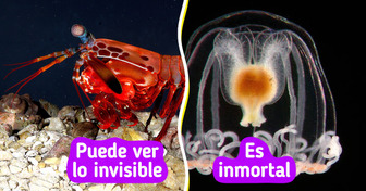 14 Animales cuyas habilidades no necesitan de una capa para ser “súper” fascinantes