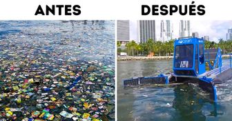 Dos surfistas encontraron una manera de limpiar los océanos y ya se recolectaron 3 millones de kilos de basura en 27 países