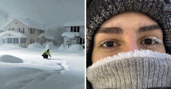 23 Fotos que demuestran que el frío invernal puede ser brutal si se lo propone
