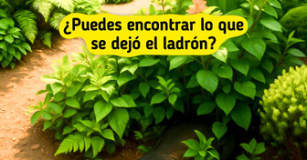 ¡Atrapa al ladrón! Resuelve el misterio con estas 10 pistas