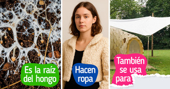 Un hongo podría ser la clave para la solución a la contaminación ambiental