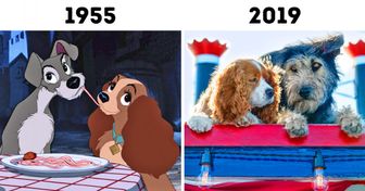 Disney difundió fotos de los perros que actuarán en la nueva versión de “La dama y el vagabundo”, uno de ellos fue rescatado de un refugio