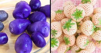 10 Frutas y verduras con colores que parecen de ciencia ficción