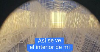 21 Hallazgos ocultos dentro de objetos comunes que hicieron que el mundo de posibilidades de sus descubridores creciera