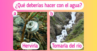 ¡Perdidos en la jungla!: Responde 11 preguntas y descubre si sobrevivirías en la salvaje naturaleza