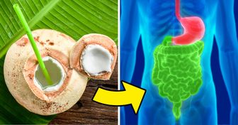 Agua de coco vs. leche de coco: cómo difieren y cuáles son sus beneficios