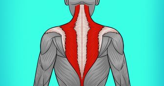 8 Formas de liberarse del molesto dolor de cuello y de espalda
