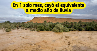 El Sahara se inundó de repente y nadie estaba preparado para lo que vino después