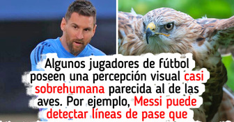 Científicos comparan la vista de un futbolista con la de un halcón (y resulta que no es solo agilidad)