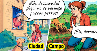 El campo vs. la ciudad: 14 cómics adorables que capturan la esencia de cada estación