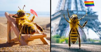 Conoce a B., una abeja influencer que recauda fondos a través de su Instagram para salvar a su especie