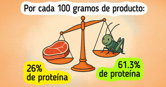 5 Cambios que suceden en tu cuerpo cuando incluyes insectos en tu dieta
