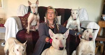 Su marido la hizo elegir entre sus perros y él, y ella se quedó con sus perros