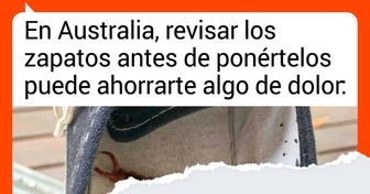21 Cosas que aunque para un australiano son comunes, para un extranjero son desconcertantes