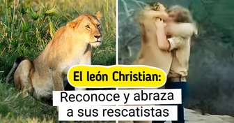 6 Conmovedores rescates de animales que podrían devolverte la fe en la humanidad