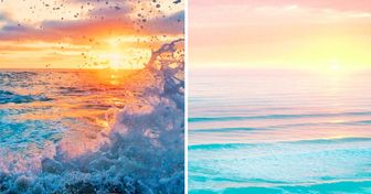 18 Fotografías que capturan el alma del océano