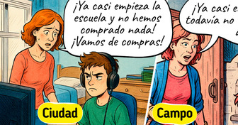 El campo vs. la ciudad: 14 cómics adorables que capturan la esencia de cada estación
