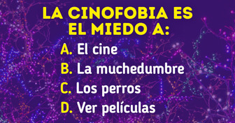 10+ Preguntas de cultura general que separan a los curiosos de los verdaderos genios