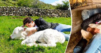 David Bisbal cambió el escenario por el campo durante unos días (y nos derritió el corazón a todas)