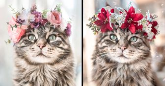 Esta artista hace coronas de flores para mascotas que resalta su encanto natural