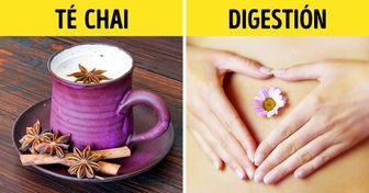10 Tipos de té y sus beneficiosas propiedades para la salud