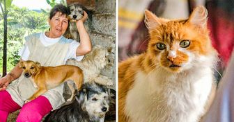 Esta mujer colombiana cuida a más de 400 animales abandonados en su santuario que la gente llama “El arca de Noé”