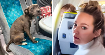 Pareja exige reembolso por soportar las flatulencias de un perro en un vuelo