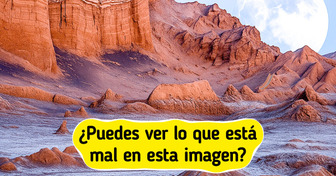 Test: Pon a prueba tu capacidad de ver más allá encontrando el objeto que no encaja en estas imágenes