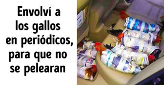 24 Personas que pueden resolver cualquier problema en un dos por tres