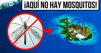 El único lugar del mundo sin mosquitos