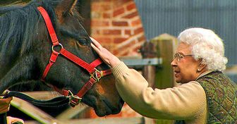 La reina Isabel II salvó de la extinción a toda una raza de caballos y no hay palabras para agradecerle