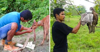 Un hombre de la India ha trabajado incansablemente durante 12 años para salvar a más de 5 000 animales
