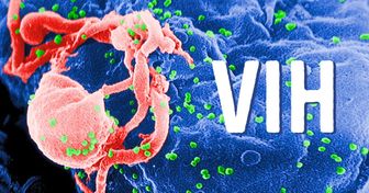 15 Imágenes de virus mortales captadas por el microscopio