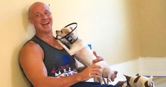 Un hombre que se reía de quienes tenían perros pequeños fue “rescatado” por un chihuahua, y ahora se dedica a adoptarlos