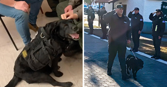 La historia de la perrita que se ha dedicado durante 10 años a algo muy especial y ahora le rinden un merecido homenaje