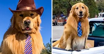 Este perrito es el alcalde de una localidad en California y su adorable mandato nos tiene ladrando de admiración