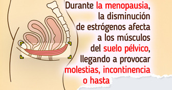 7 Verdades que todas deberíamos saber sobre el suelo pélvico