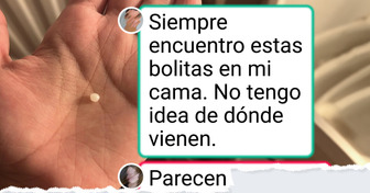 15 Imágenes que empiezan como un día normal y terminan en un caos que nadie vio venir