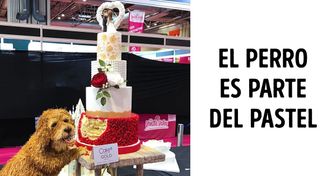 12 Reposteras cuyos pasteles parecen más bien esculturas